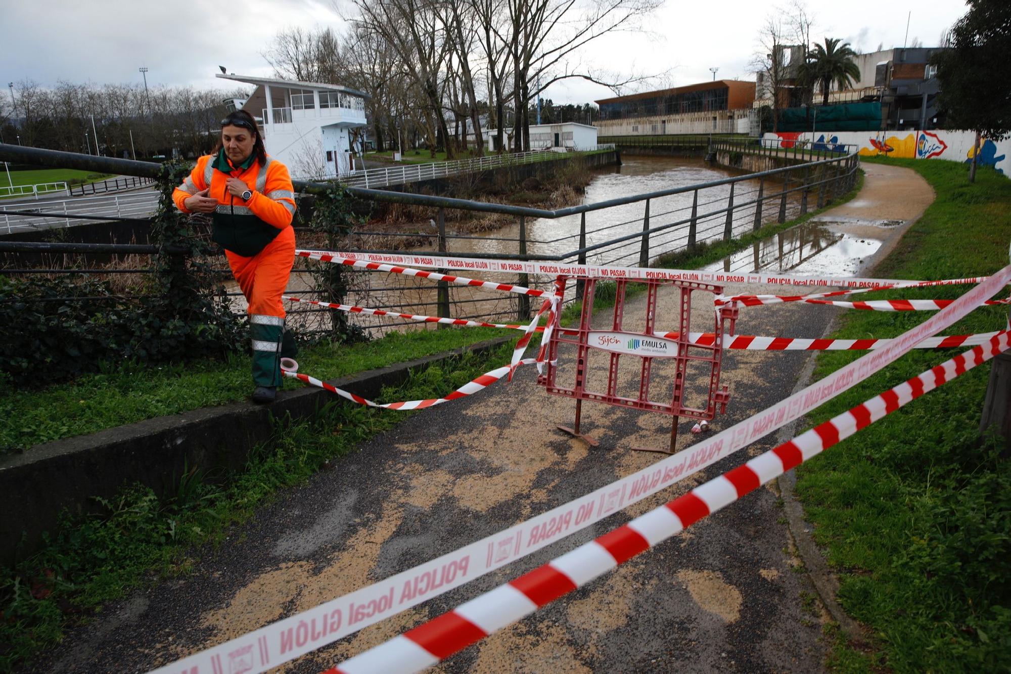 En imágenes: El temporal provoca grandes daños en la senda del Piles