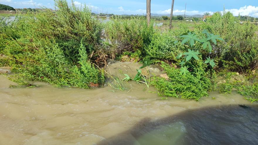 Consulta las lluvias registradas en los pueblos de Mallorca