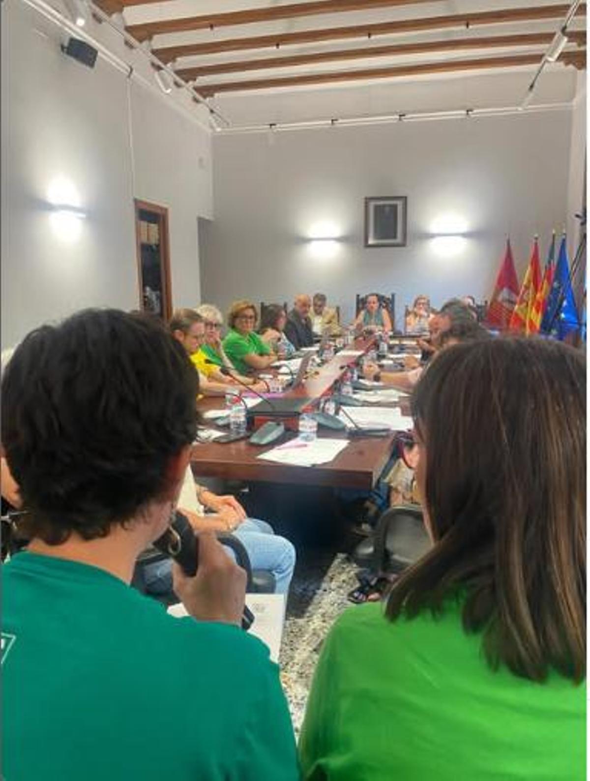 Representantes de l'Assemblea per l'educació pública de Carcaixent en el pleno.