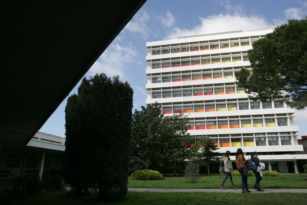 Los grados de Ciencias de la Salud, como el de Medicina en Cordoba, alcanzan un elevado índice de inserción laboral.