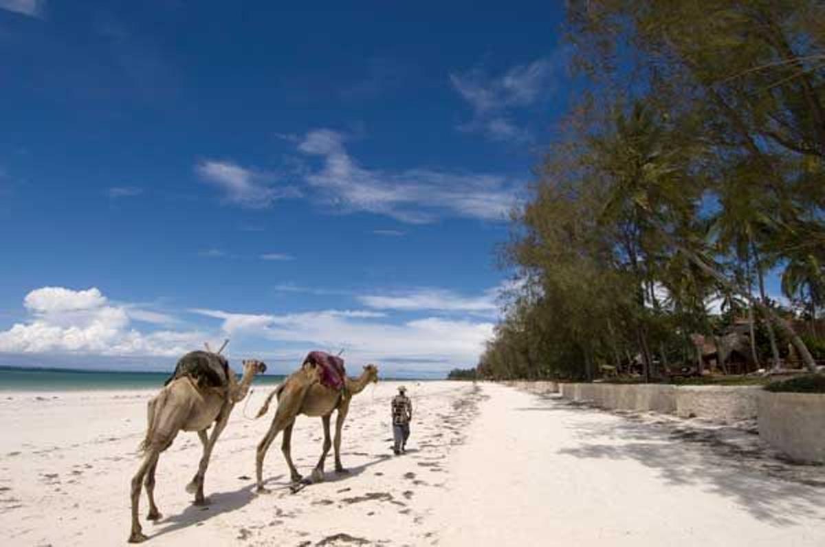 Playa de Diani