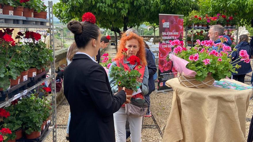 Mil macetas para coronar a Córdoba como la ciudad del geranio en el Mayo Festivo
