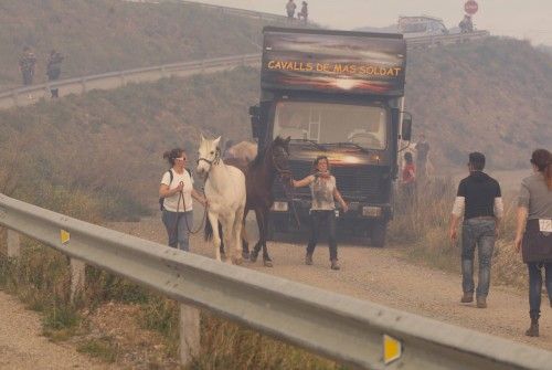 Incendi forestal a peu de les Gavarres