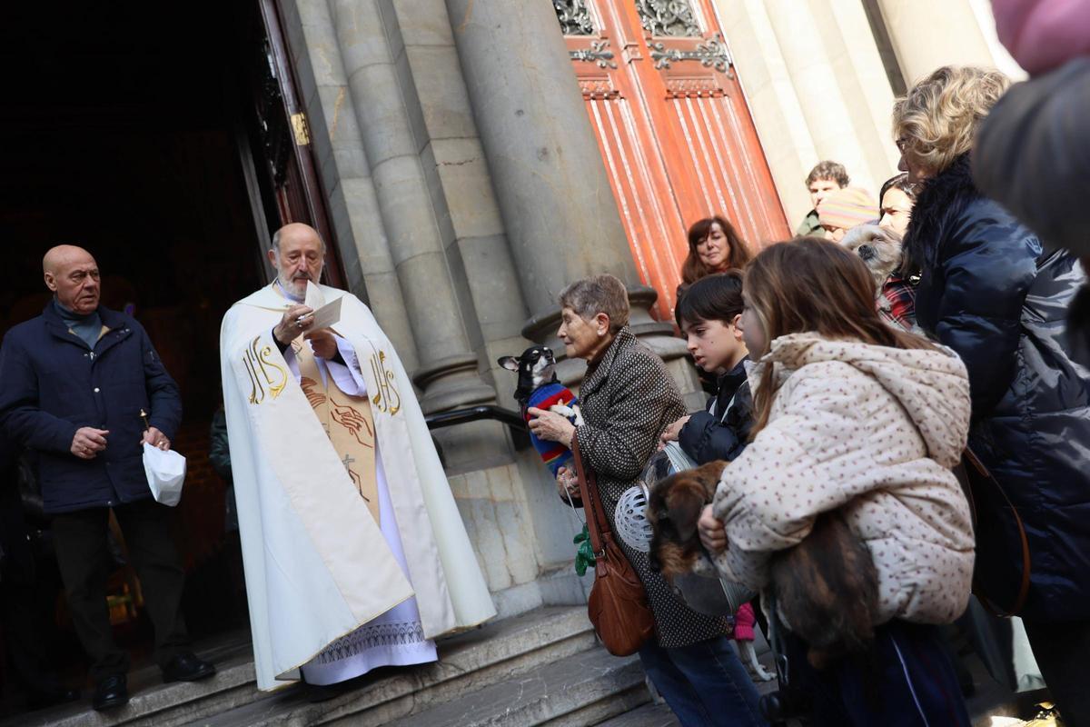 EN IMÁGENES: Oviedo bendice a sus mascotas por San Antón