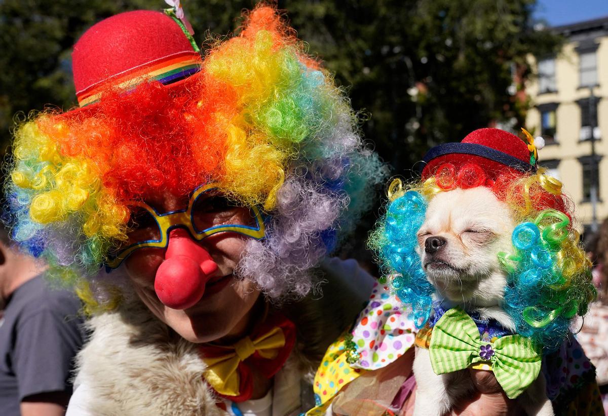 Desfile de disfraces de Halloween para perros en Nueva York