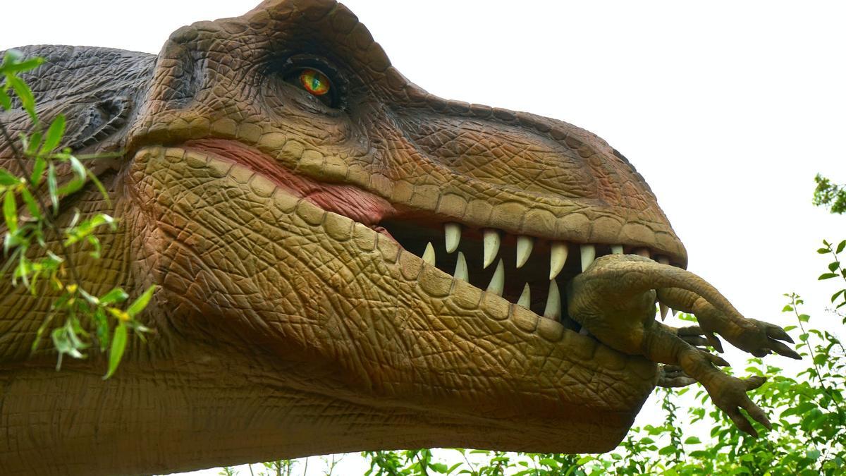DINOSAURIOS: Un estudio científico descubre el lado más sensible del Tiranosaurio Rex DINOSAURIOS: Un estudio científico descubre el lado más sensible del Tiranosaurio Rex