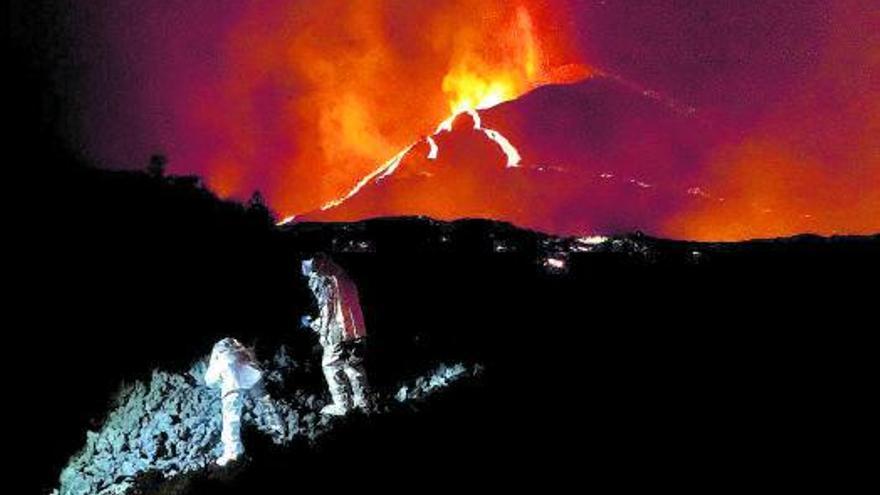 «Salven a los podencos del volcán de La Palma»