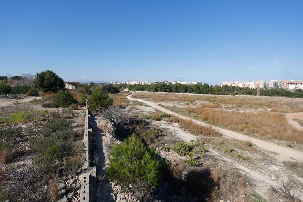 Vista de los terrenos ya cedidos por Paterna a la Generalitat para levantar el hospital.