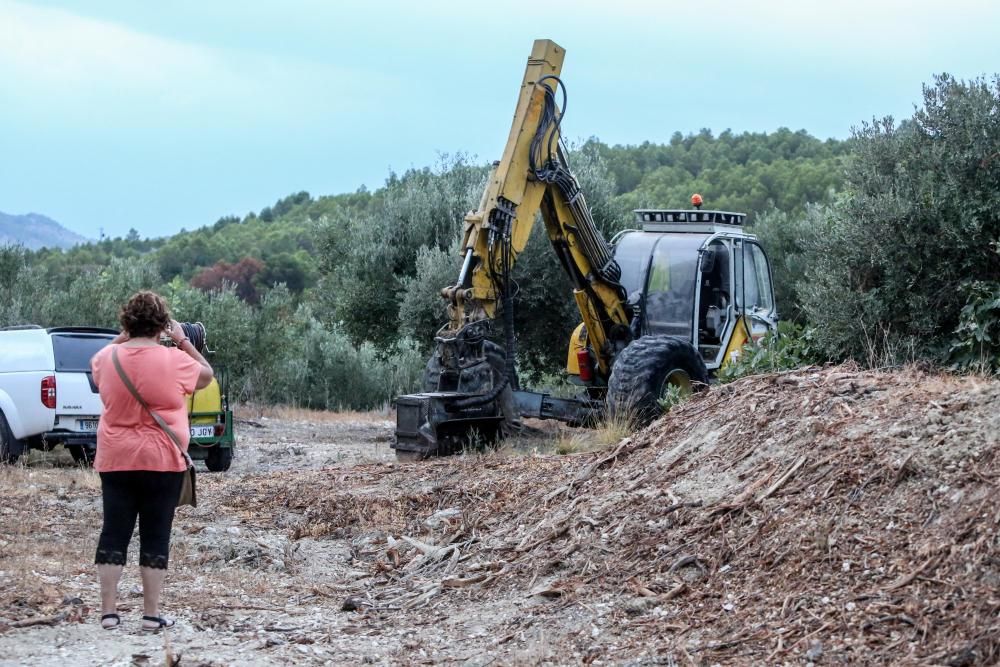 Agricultores y vecinos logran parar las máquinas que iban a triturar otra parcela afectada por la Xylella