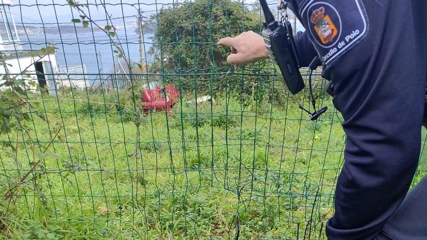 Cierre roto en la finca donde se encontraban los perros