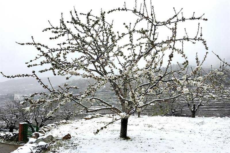 Nevada de primavera en Extremadura