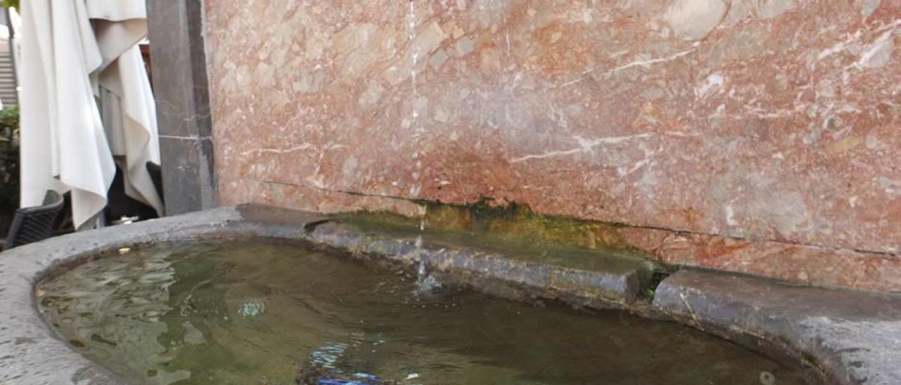 La fuente de la plaza Constitució sigue arrojando agua potable al alcantarillado.