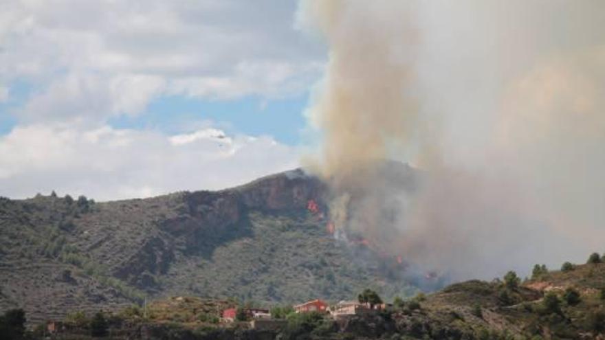 Fepac propone nuevas especies arbóreas para frenar los incendios