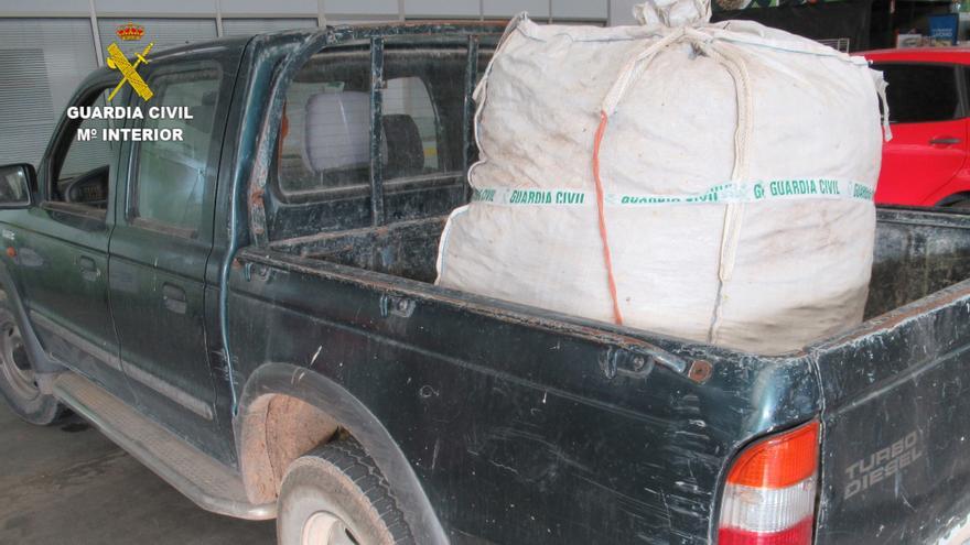 Investigan a dos personas por robar más de 200 kilos de algarrobas en Onda