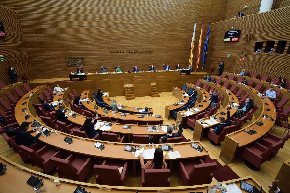 Imagen del pleno semivacío durante la votación.