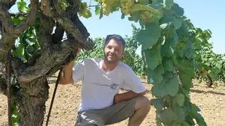 Los mejores vinos por menos de 20 €: los favoritos de Ramon Jané, viticultor y bicampeón del Premio Vila Viniteca de cata por parejas