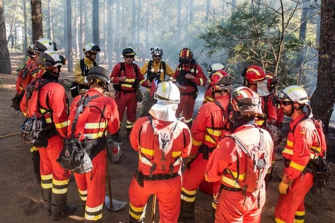 La UME realiza prácticas de prevención de incendios en Gran Canaria