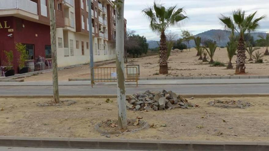 Onda inicia el mayor gimnasio al aire libre