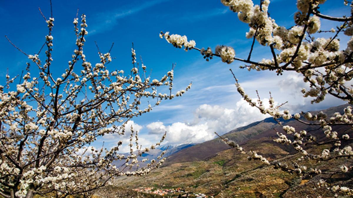 Disfruta de la naturaleza los fines de semana de primavera