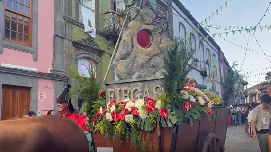 Ofrenda romería a Nuestra Señora del Pino 2024 (4)