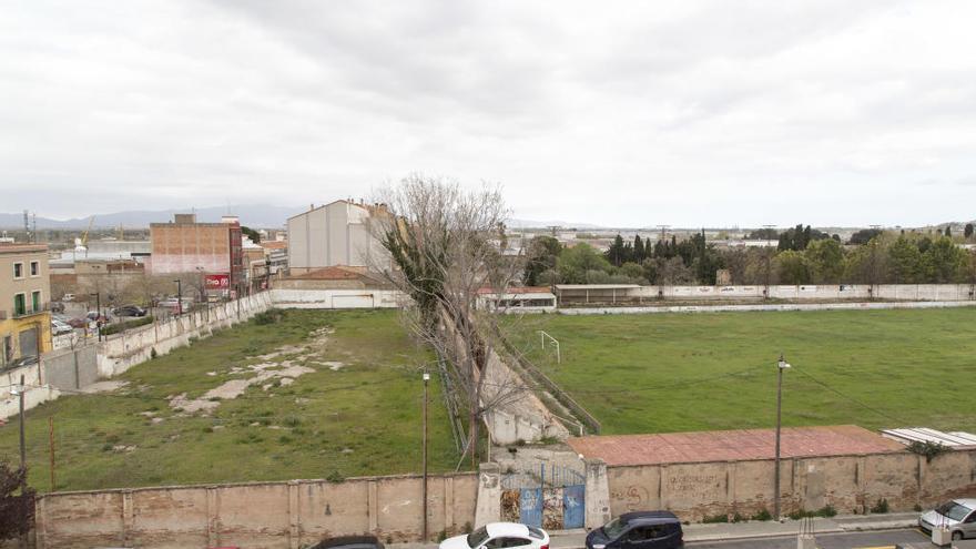 Aquest és l'estat en què es troba el vell camp de futbol.