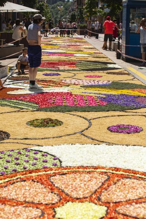 El concurs de catifes de flors naturals omple Arbúcies