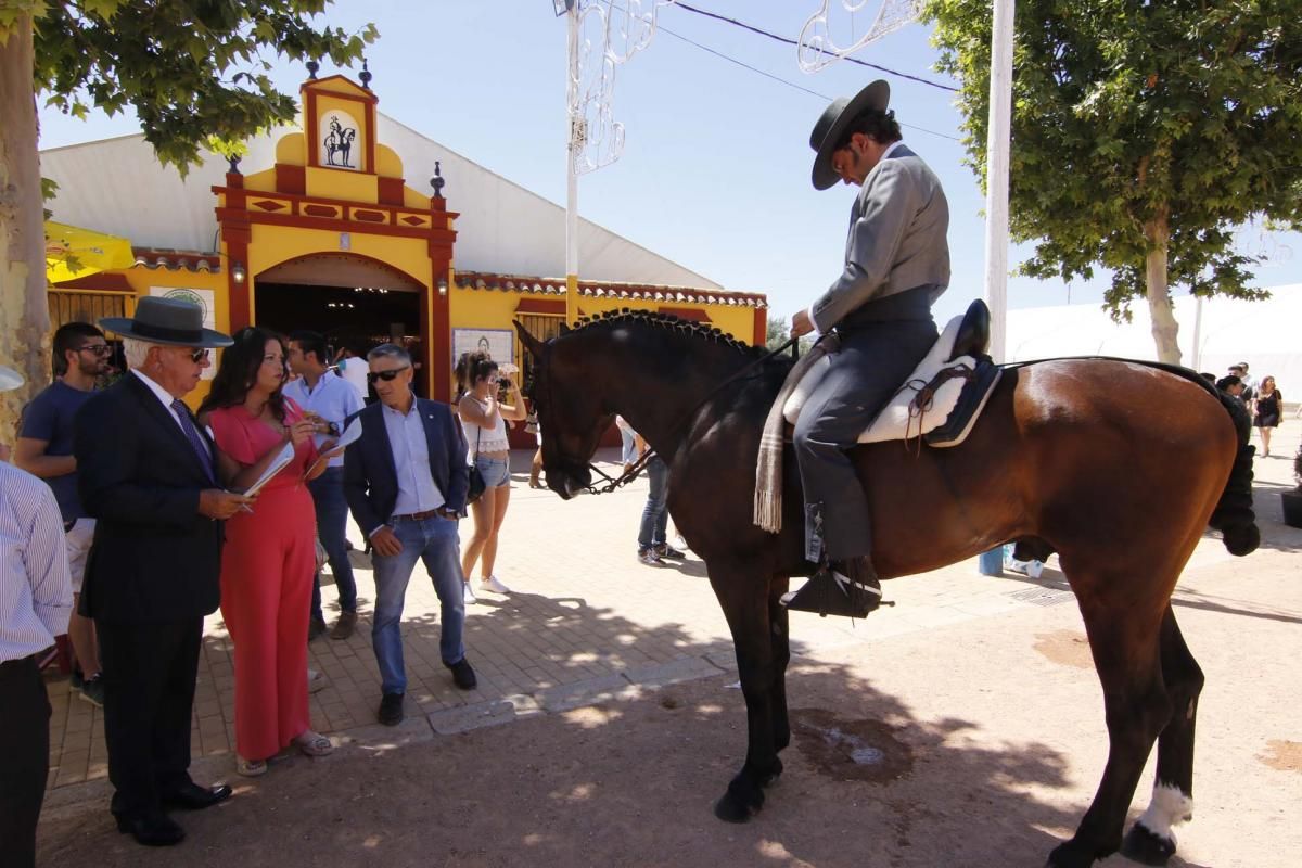 Los mejores en El Arenal