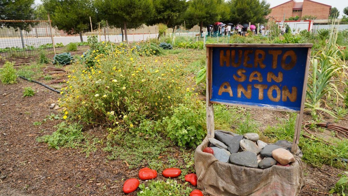 Uno de los huertos urbanos de Cartagena, en el barrio de San Antón.