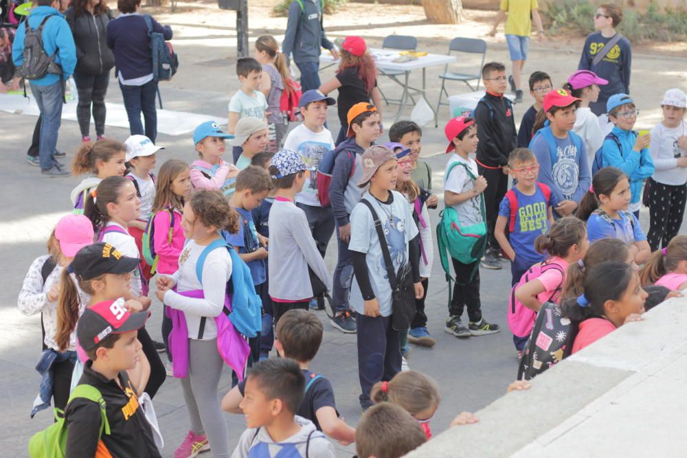 Actividades de la III Marxa Escolar per l'Horta