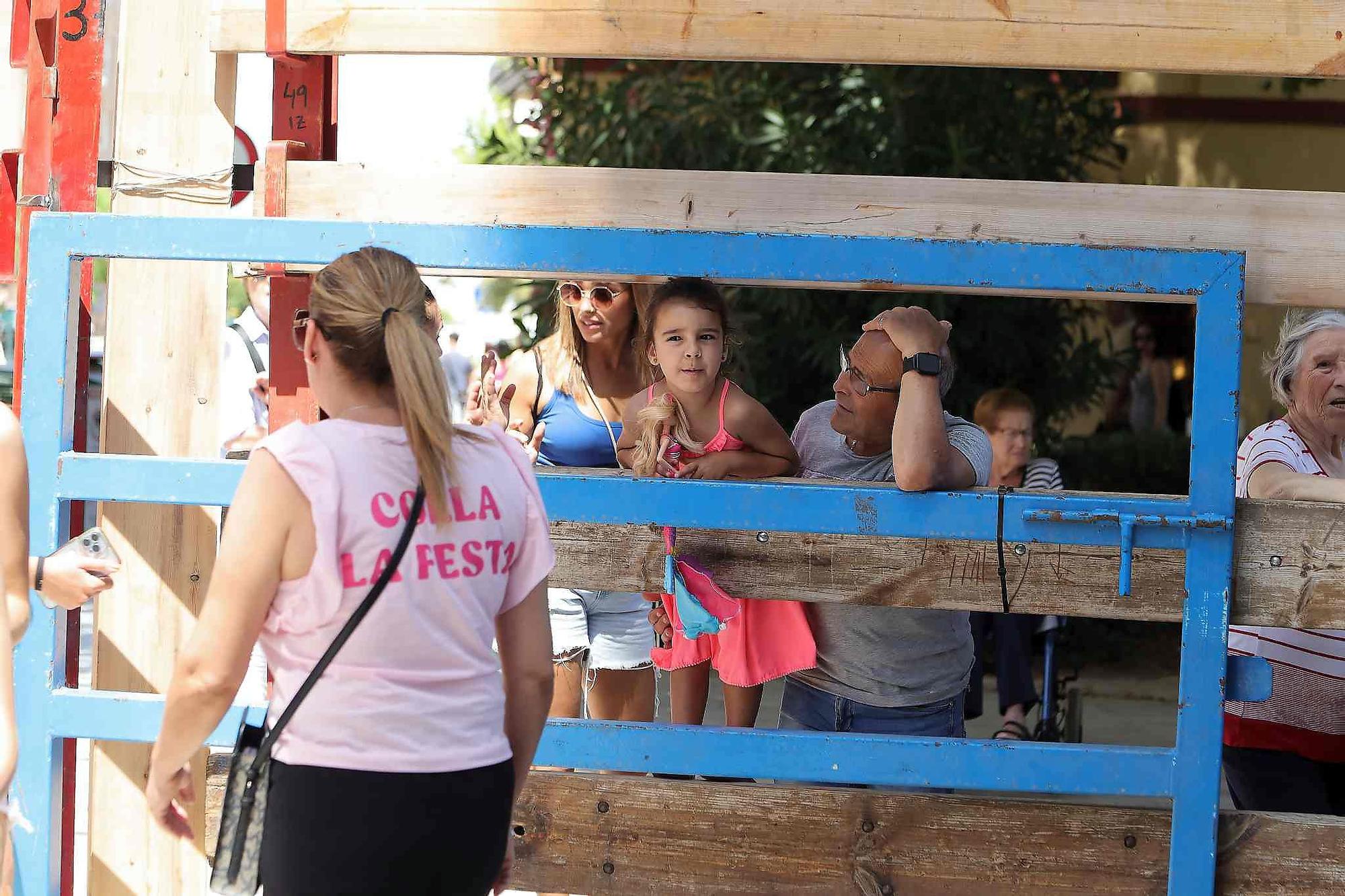 El Grau da inicio a las fiestas de Sant Pere con pólvora, bous y música