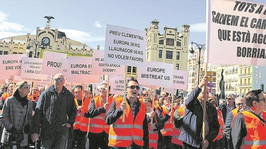 Crean la asociación que gestionará la marca de calidad de la clemenules