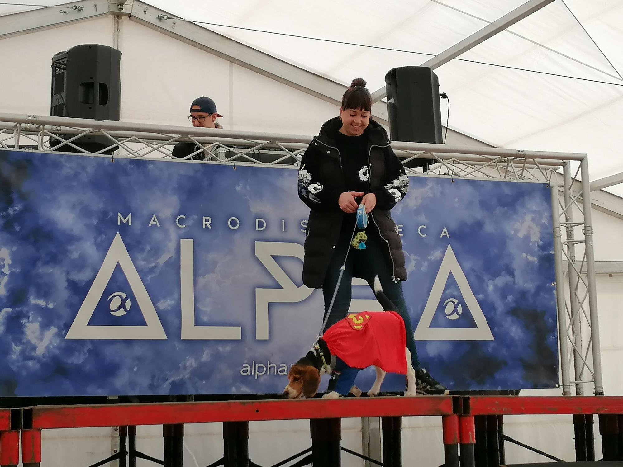 Los animales se apuntan al Carnaval de Toro