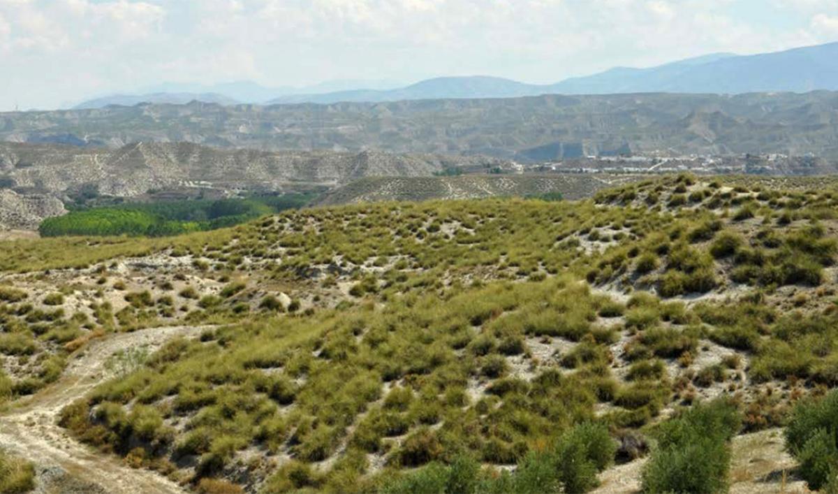 Los barracos de la altiplanicie de Huéscar, en el futuro Parque Natural de la Sagra (Granada).