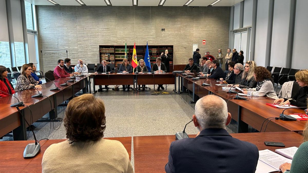 El pleno del Observatorio de la Convivencia Escolar, antes de comenzar.