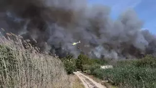 Estabilizado el incendio forestal de Mallorca tras quemar 50,4 hectáreas de cañizo