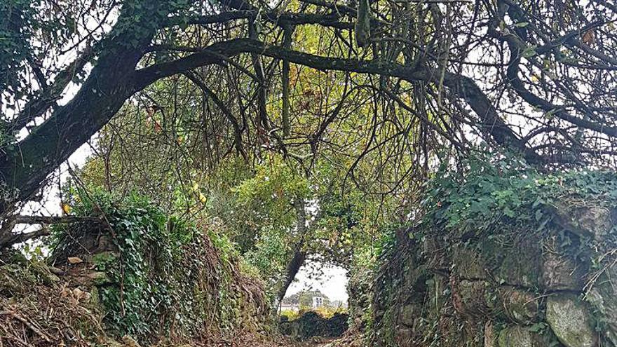 Blanco y Jácome supervisan los desbroces en Lubreiro. A la izquierda, detalle de uno de los caminos de la ruta.   | // CEDIDAS