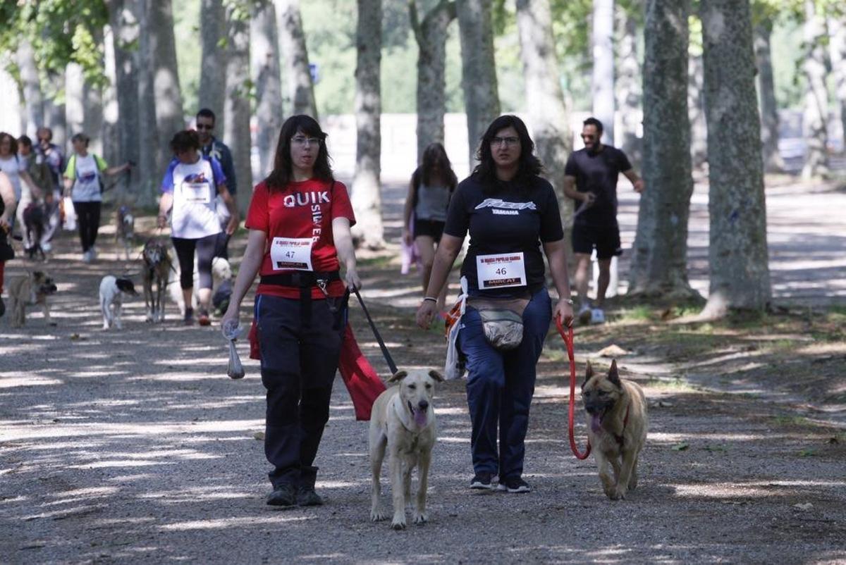 I Marxa Solidària Canina de Diari de Girona I Marxa Solidària Canina de Diari de Girona