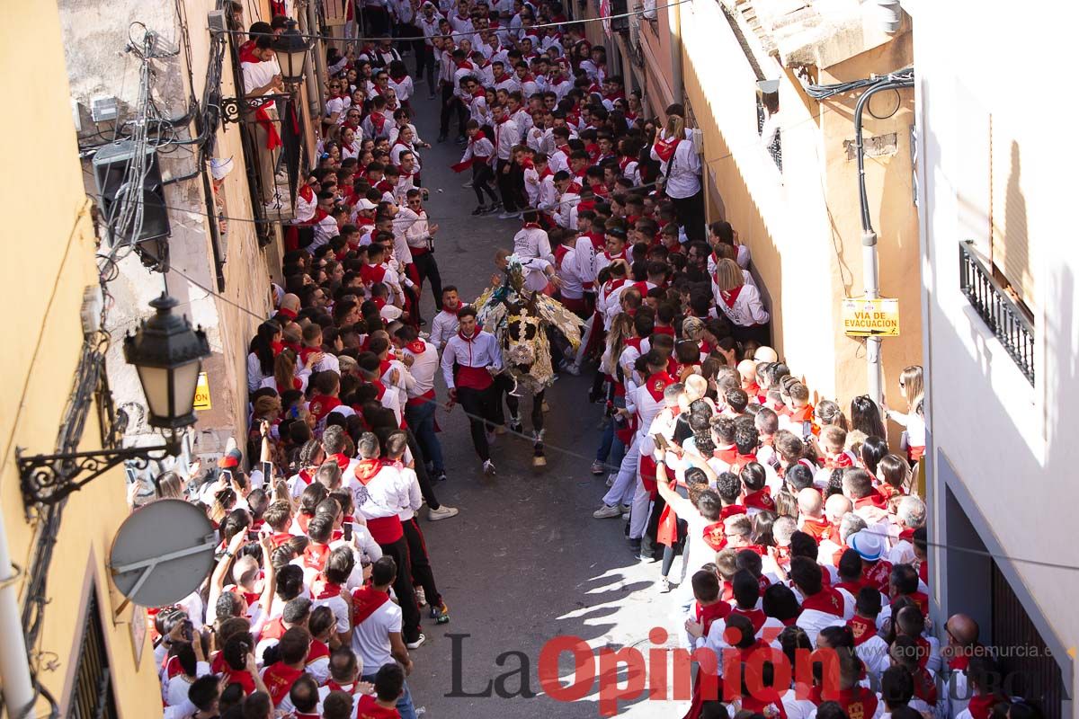 Caballos del Vino en la cuesta de la Simona