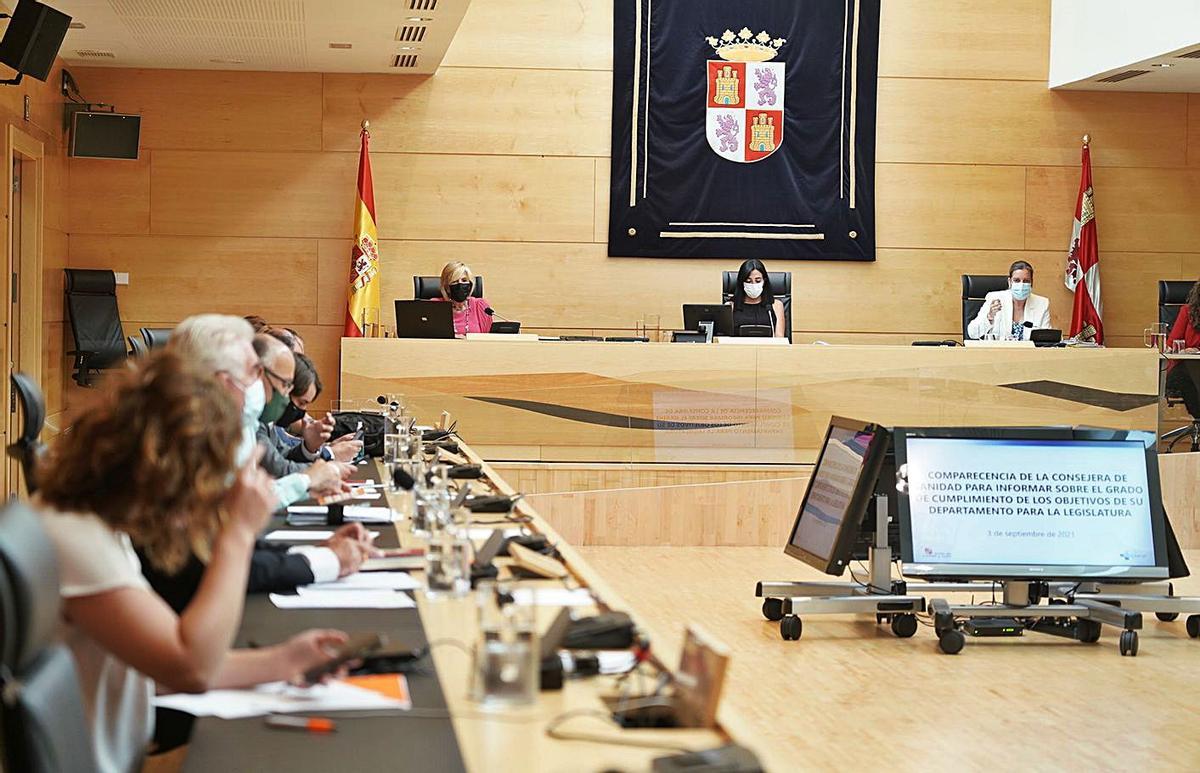 La consejera de Sanidad, al fondo a la izquierda, durante su comparecencia en las Cortes ayer. | Ical