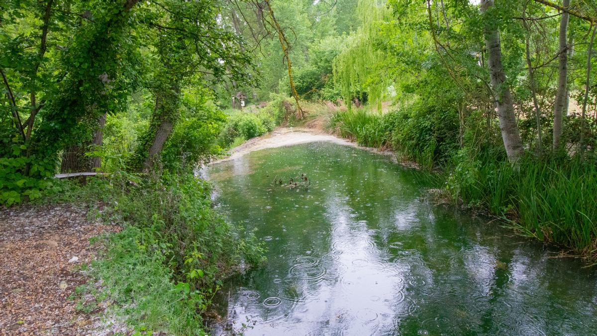 Nacimiento del río Vinalopó.