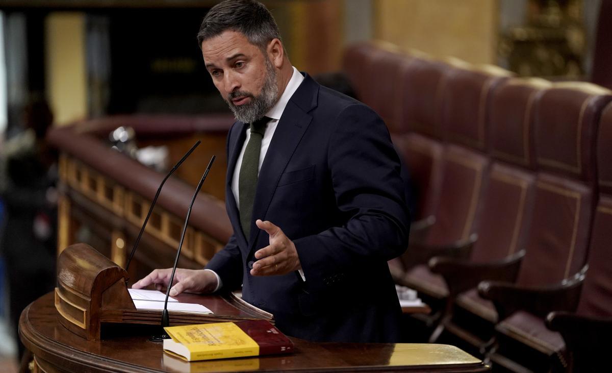 Santiago Abascal, en el estrado del Congreso. José Luis Roca