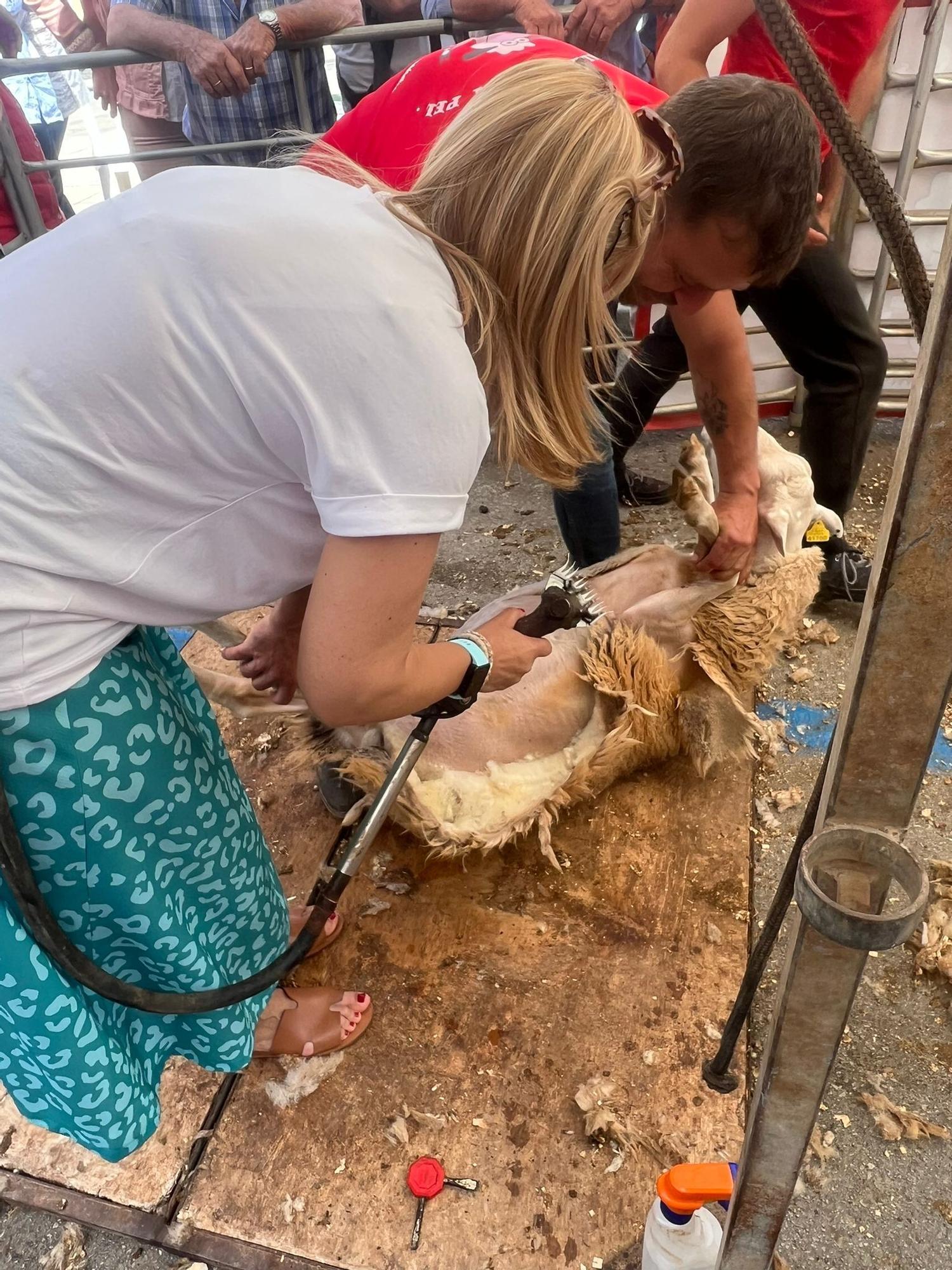 FOTOS | Las ferias de este domingo en distintos pueblos de Mallorca, en imágenes