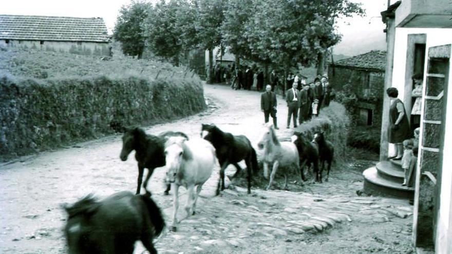 Irrupción de los caballos en la aldea. |   // FOTOS ANTIGUAS ESTRADA