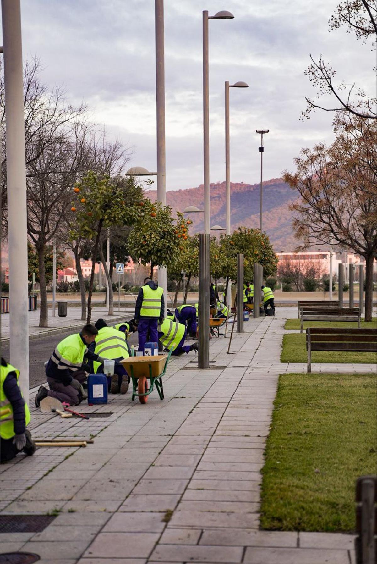 Trabajadores del programa de empleo juvenil.