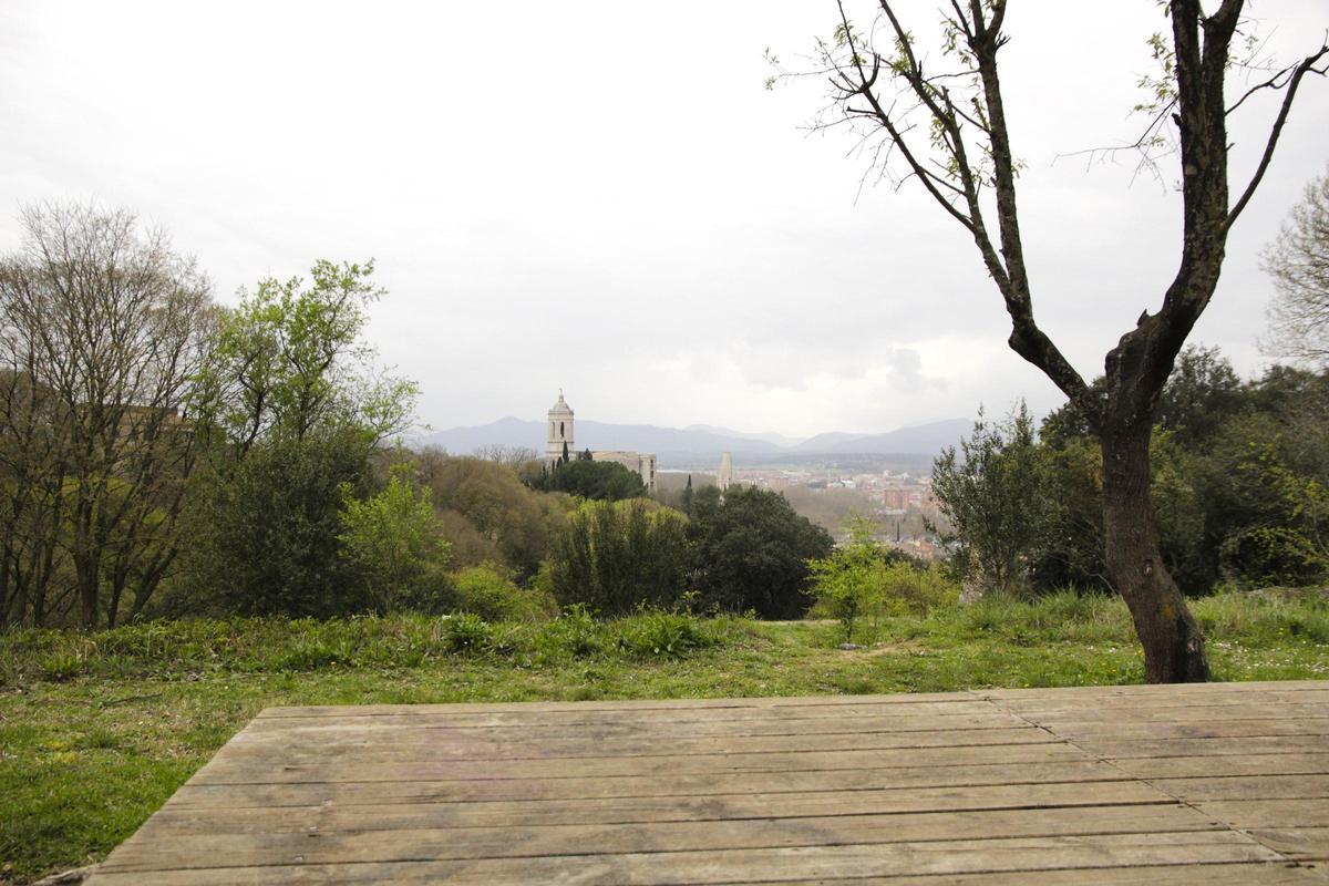 Una fotografia dels prats de Can Colomer.
