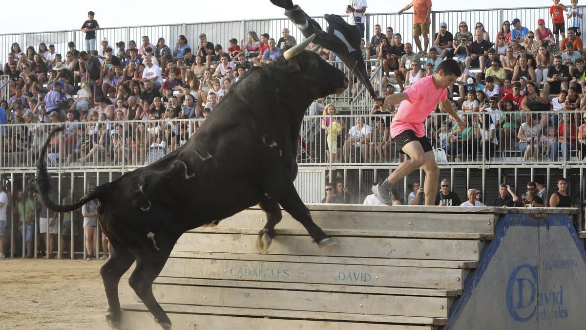 Una tarde de toros de Sagunt en 2025.