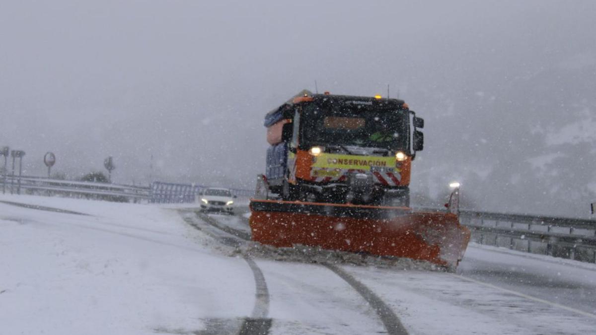 Descubre los mejores trineos para la nieve - La Opinión de Zamora