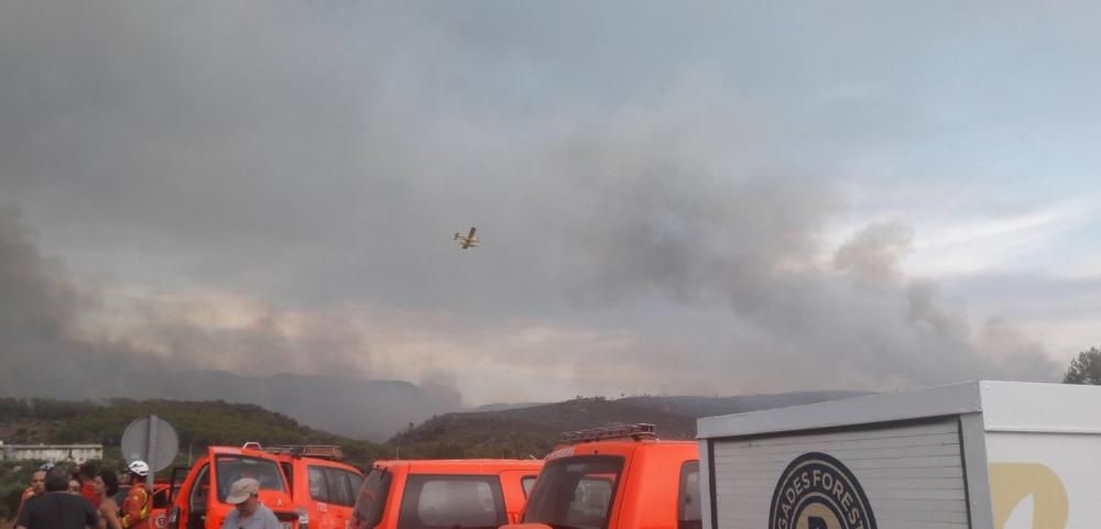 Incendio forestal en Llutxent