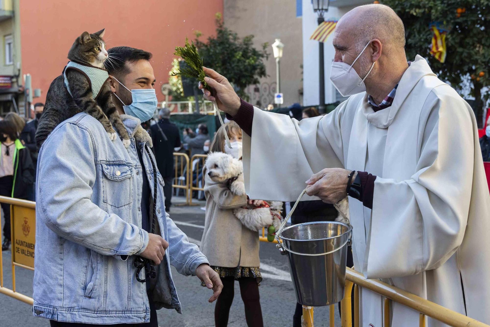 Búscate en la bendición de animales de Sant Antoni