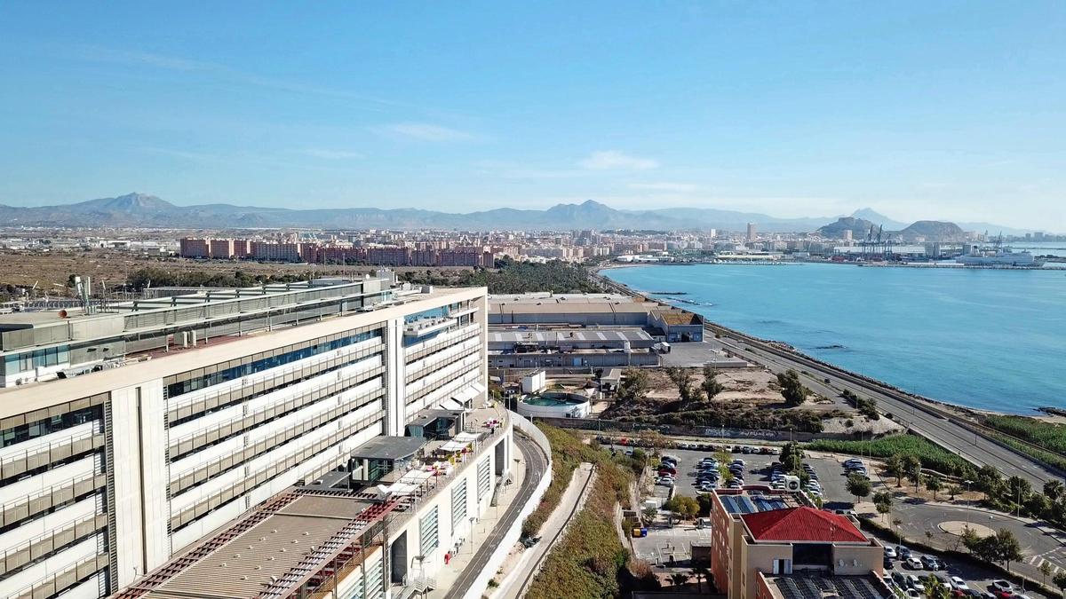 Que la EUIPO se ubique en Alicante es un factor que ha influido en una mayor demanda de solicitudes por parte de las empresas alicantinas